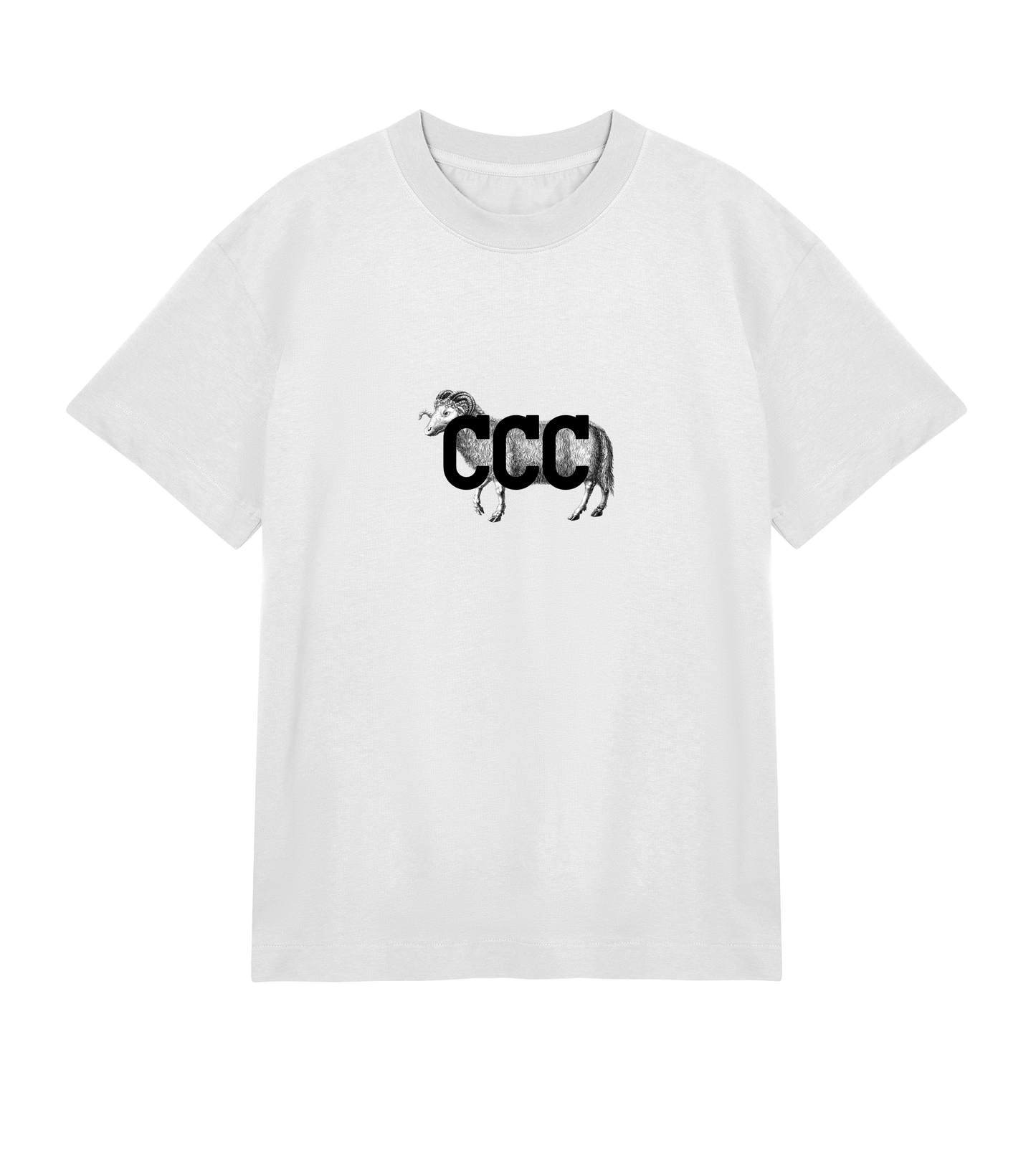 The Alpine Boxy Tee