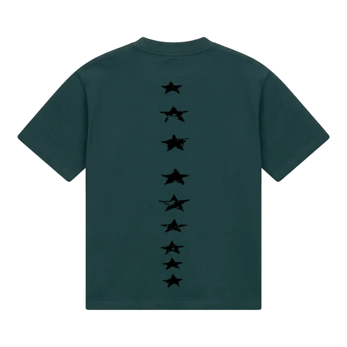 Back_Green_1790893857342.webp