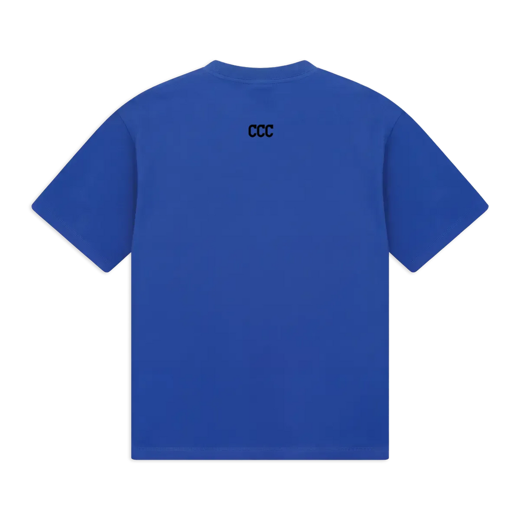 back_Blue_1791326097896.webp