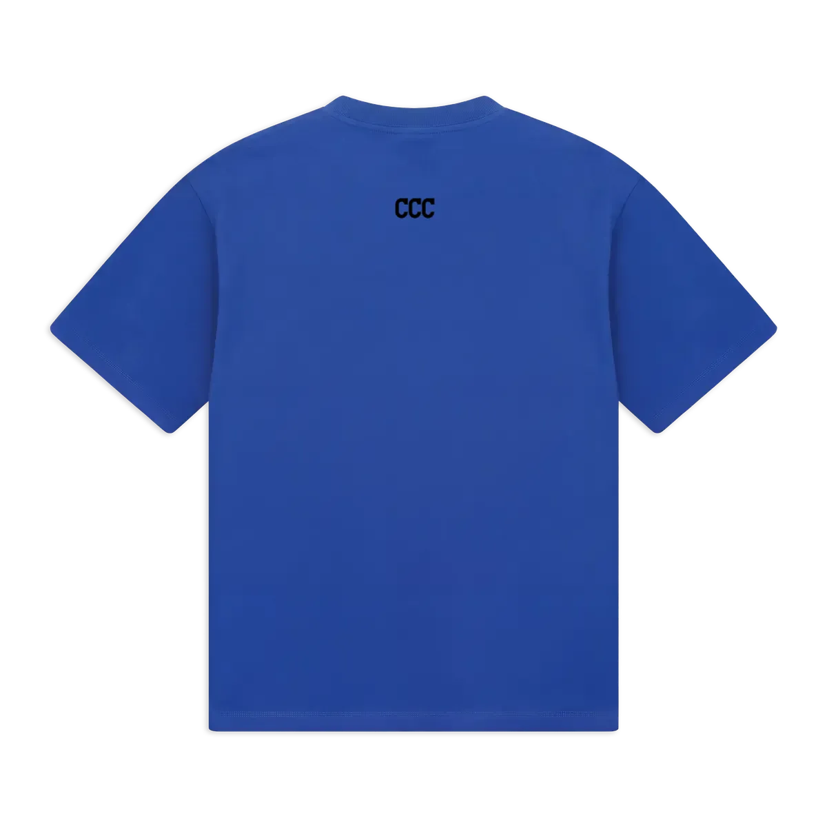 back_Blue_1791326097896.webp