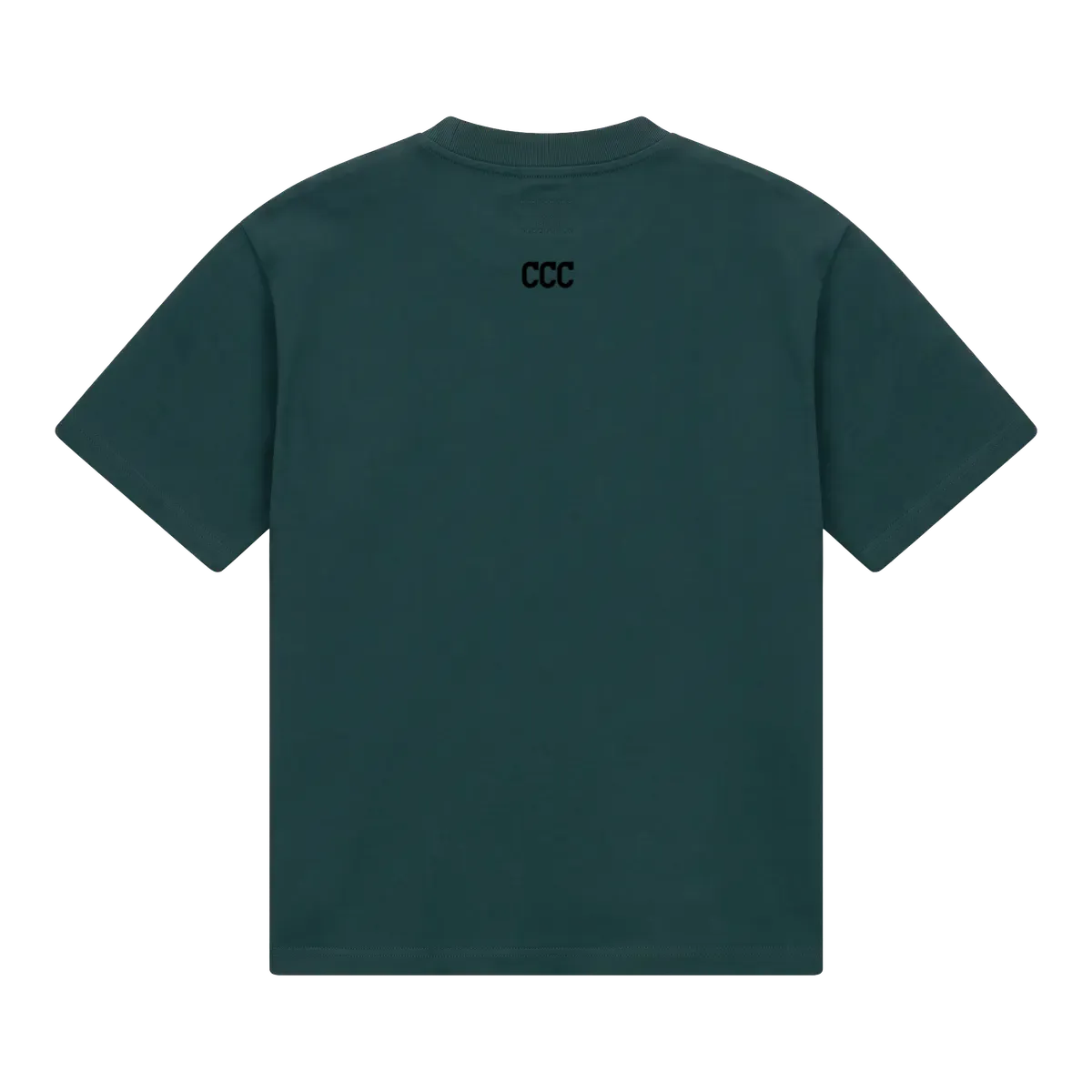 back_Green_1791326098242.webp