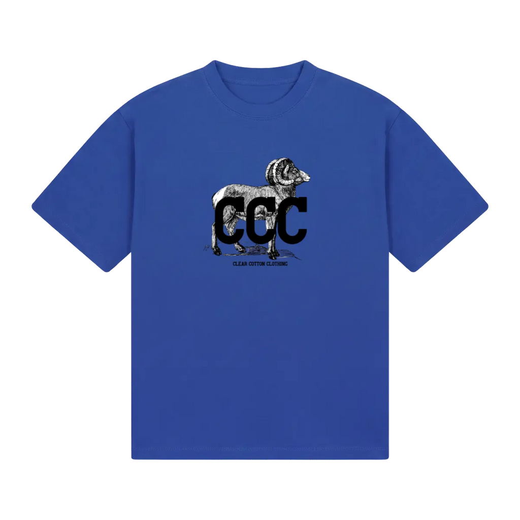 front_Blue_1791326095899.webp