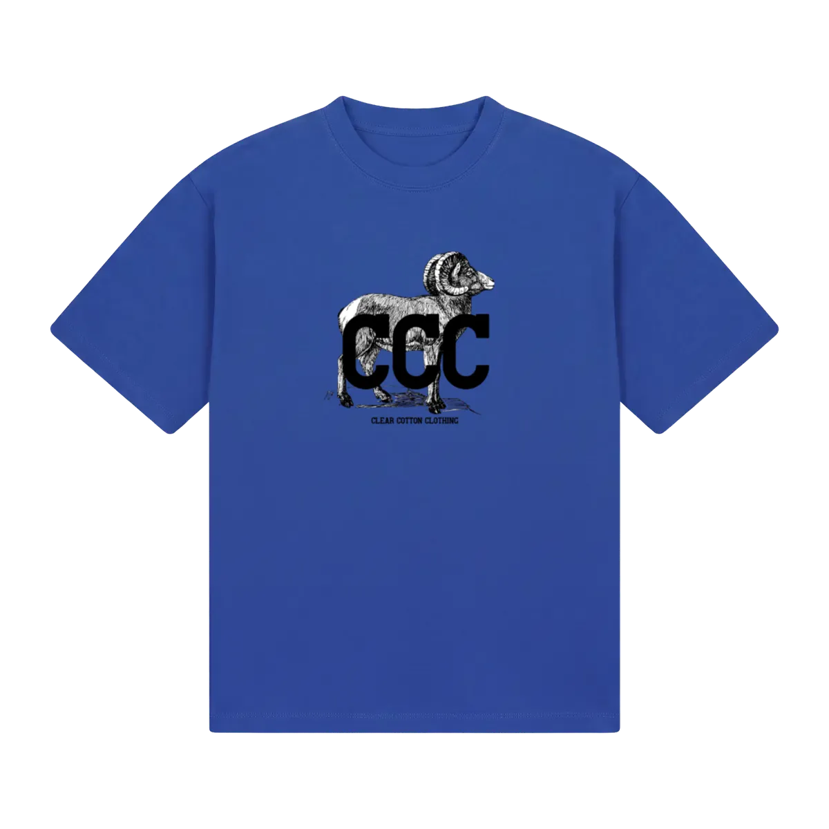 front_Blue_1791326095899.webp