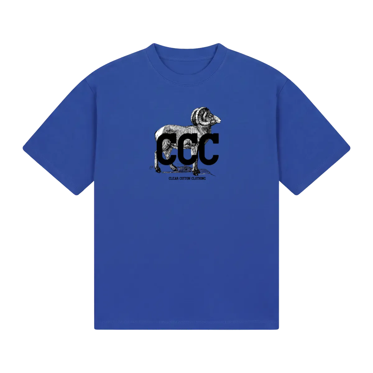 front_Blue_1791394523155.webp