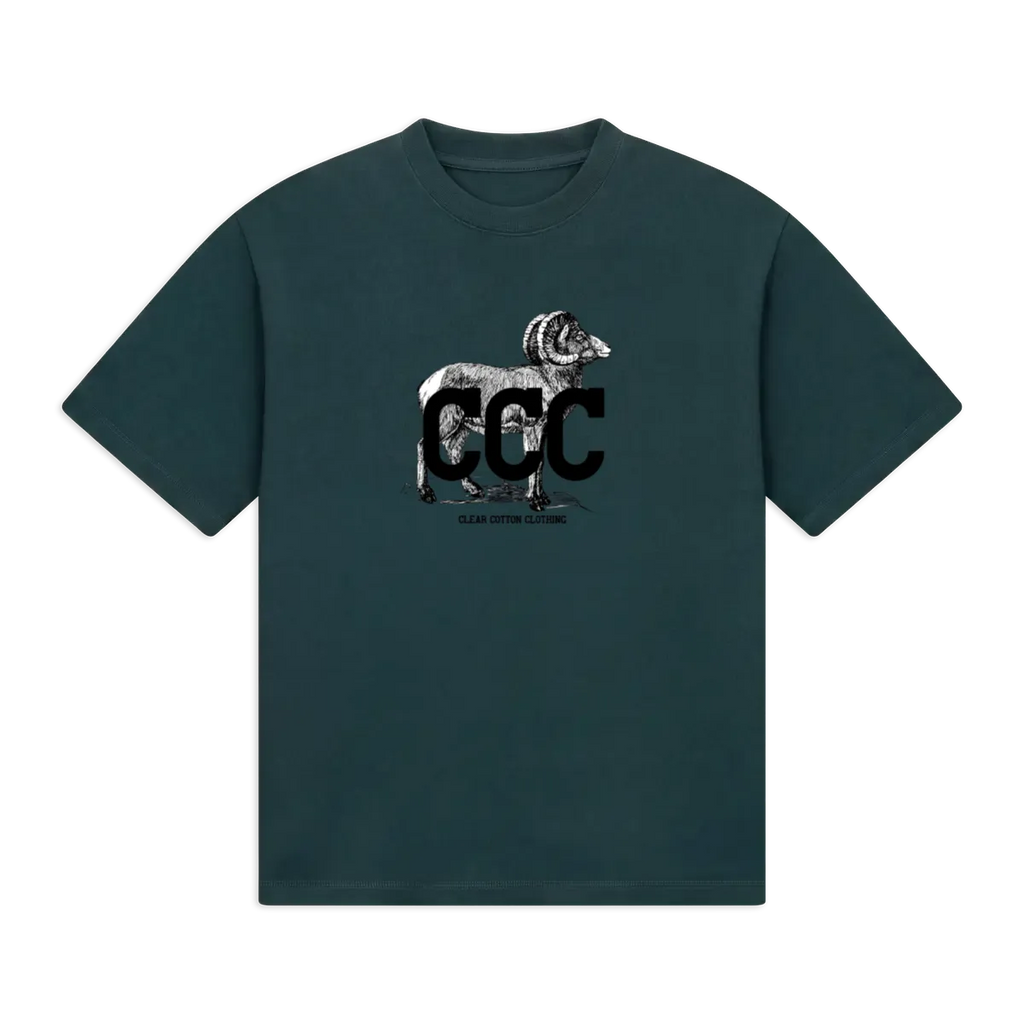 front_Green_1791326096475.webp