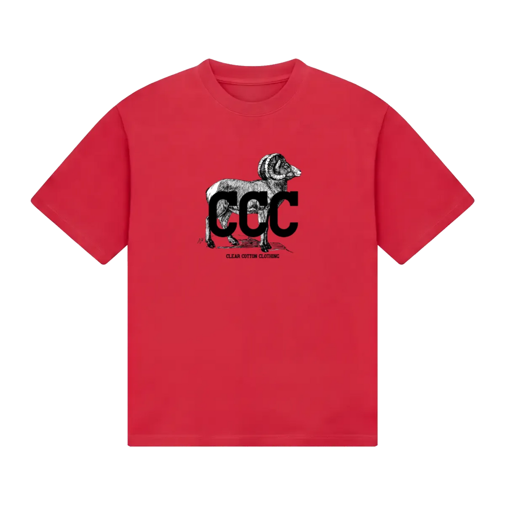 front_Red_1791326095351.webp