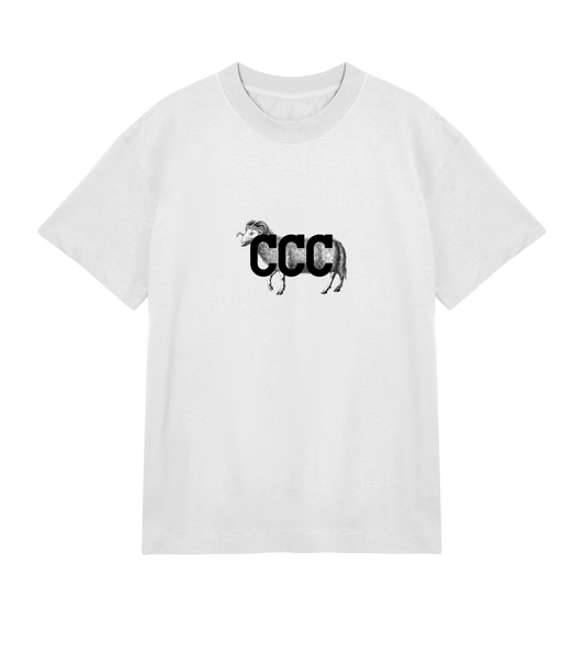 The Alpine Boxy Tee