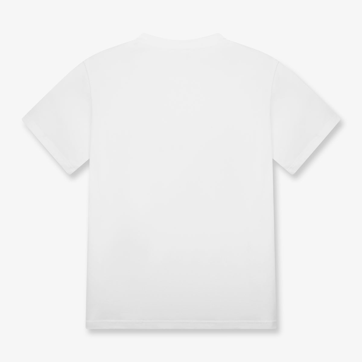 product_535_layer_99_option_11_1785229058.jpg